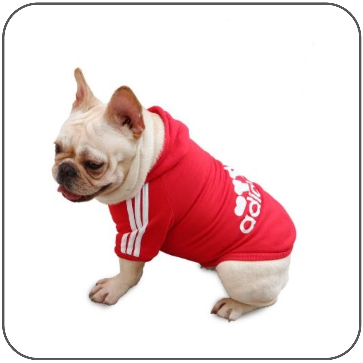 Adidog red hot sale