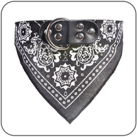 paisley bandana collar black various sizes