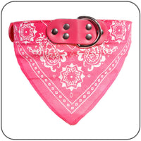 paisley bandana collar pink various sizes