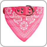 paisley bandana collar pink various sizes