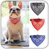 paisley bandana collar red blue navy pink