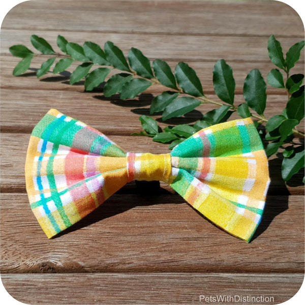 Tequila Gingham Cat/Dog Bow Tie