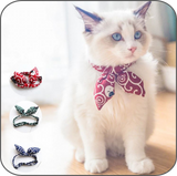 cat bowtie colour range