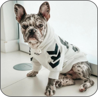 WOOF Cotton Hoodies White front with Dog model